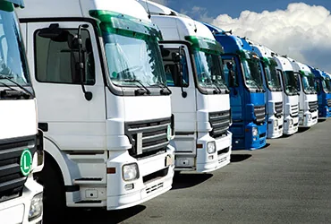 Brisbane to Tasmania removalists