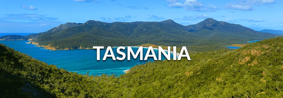 tassie Removals and Backloading Services