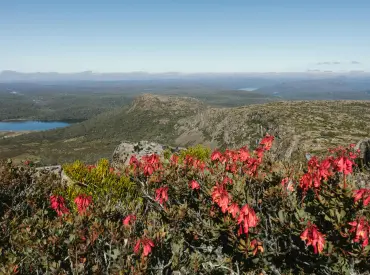 Country home and farm removals across regional and rural Tasmania